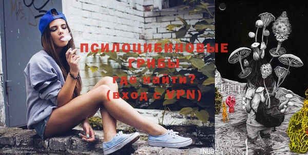 apvp Арсеньев