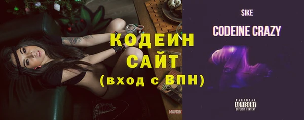 крисы Армянск