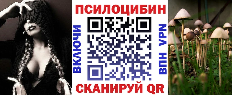 где купить наркоту  Усинск  Галлюциногенные грибы Psilocybe 
